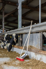 Kerbl Großraumbesen Kompakt