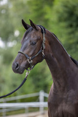 Kerbl Halfter Cordano