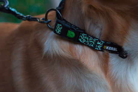 Kerbl Halsband Shiny Night