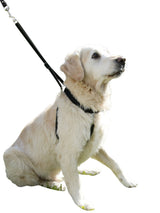 Kerbl Hundegeschirr Maxi Leader