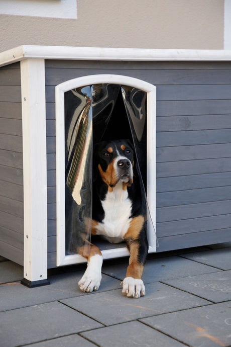 Kerbl Hundehütte Kenny