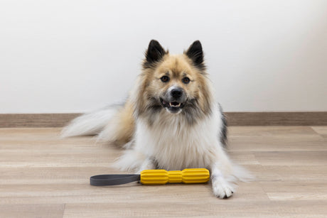 Kerbl Hundespielzeug Aqua