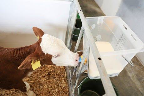 Kerbl Hygienesauger