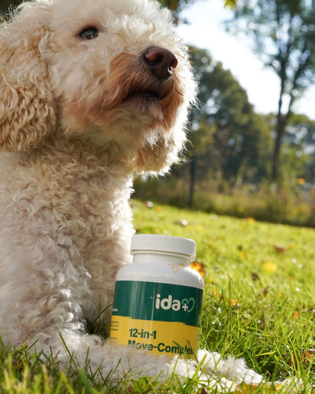 Kerbl IdaPlus® 12-in-1 Move-Complex