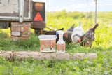 Kerbl IdaPlus® MitePowder