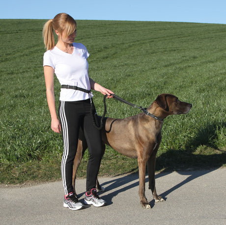 Kerbl Joggingleine mit Hüftgurt