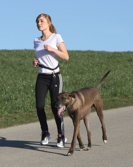 Kerbl Joggingleine mit Hüftgurt