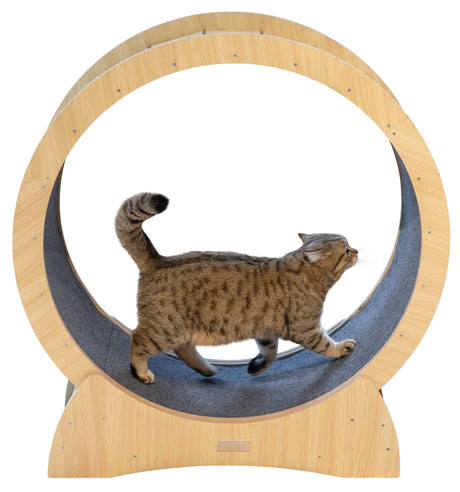 Kerbl Katzenlaufrad