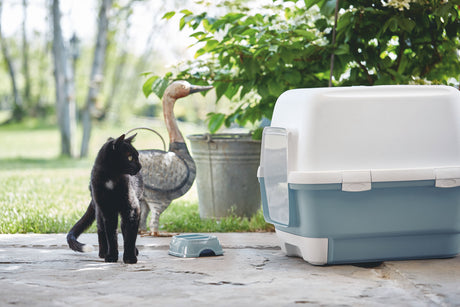 Kerbl Katzentoilette Cathy Clever & Smart