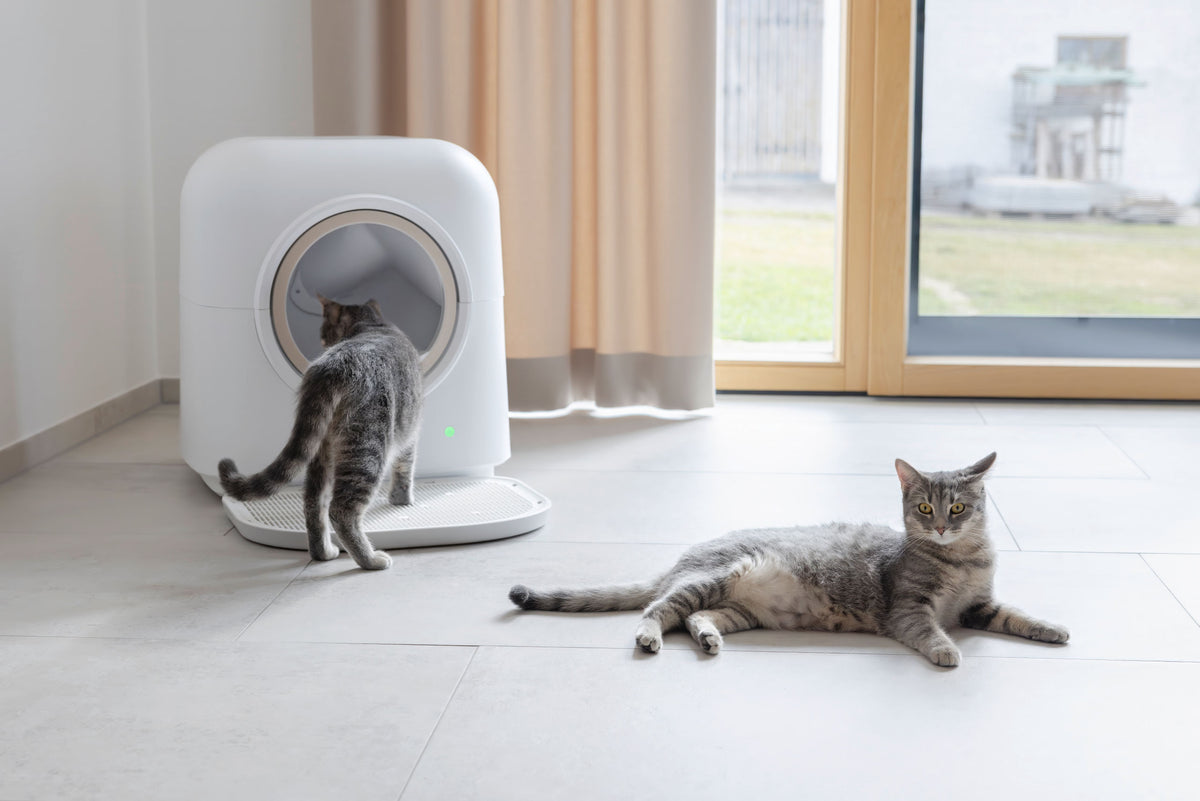 Kerbl Katzentoilette Smart