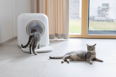 Kerbl Katzentoilette Smart