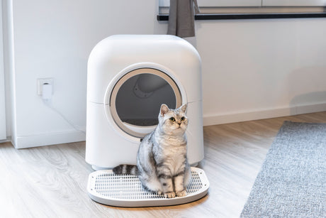 Kerbl Katzentoilette Smart