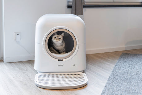 Kerbl Katzentoilette Smart