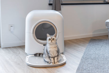 Kerbl Katzentoilette Smart