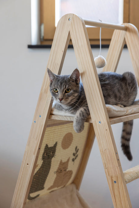 Kerbl Kletterturm Ladder