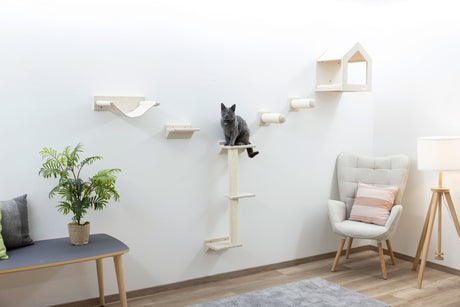 Kerbl Kletterwand Monte Falco