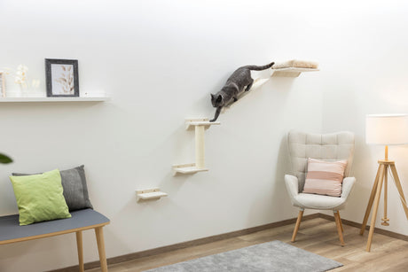 Kerbl Kletterwand Monte Prado