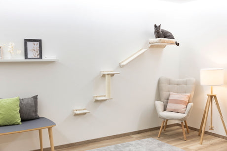 Kerbl Kletterwand Monte Prado