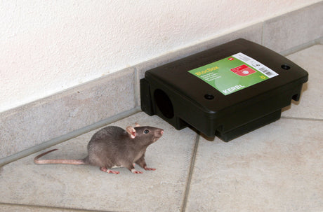 Kerbl Köderstation BlocBox