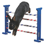 Kerbl Kombisprung Agility
