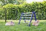 Kerbl Kombisprung Agility