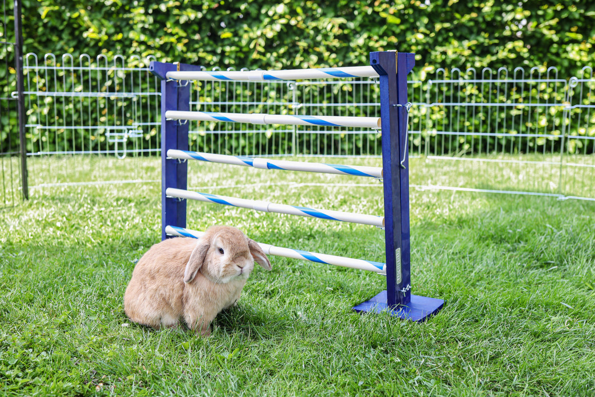 Kerbl Kombisprung Agility