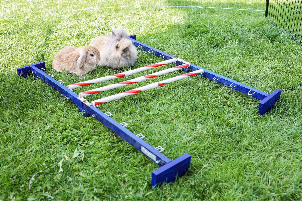 Kerbl Kombisprung Agility