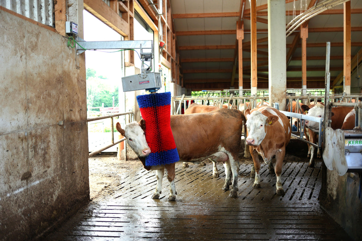 Kerbl Kuhputzmaschine HAPPYCOW MaxiSwing