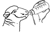 Kerbl Lämmerflasche Anti-Vac