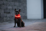 Kerbl LED-Halsband Maxi Safe