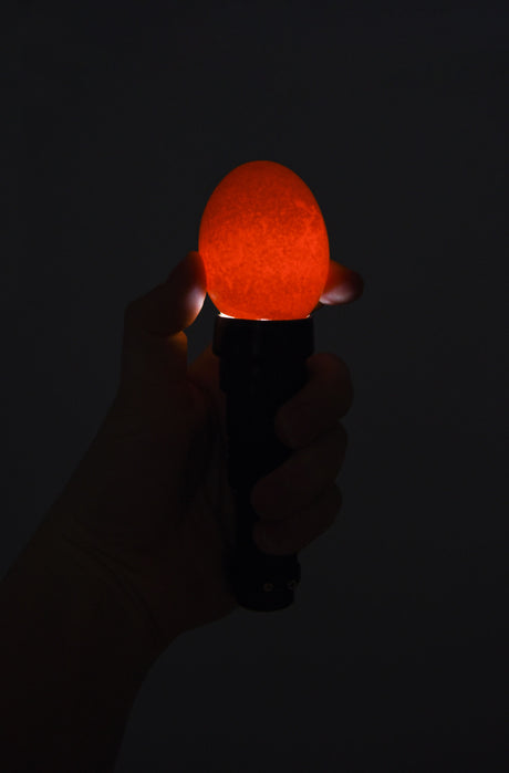 Kerbl LED-Schierlampe