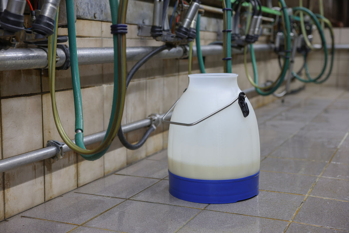 Kerbl Melkeimer halbtransparent