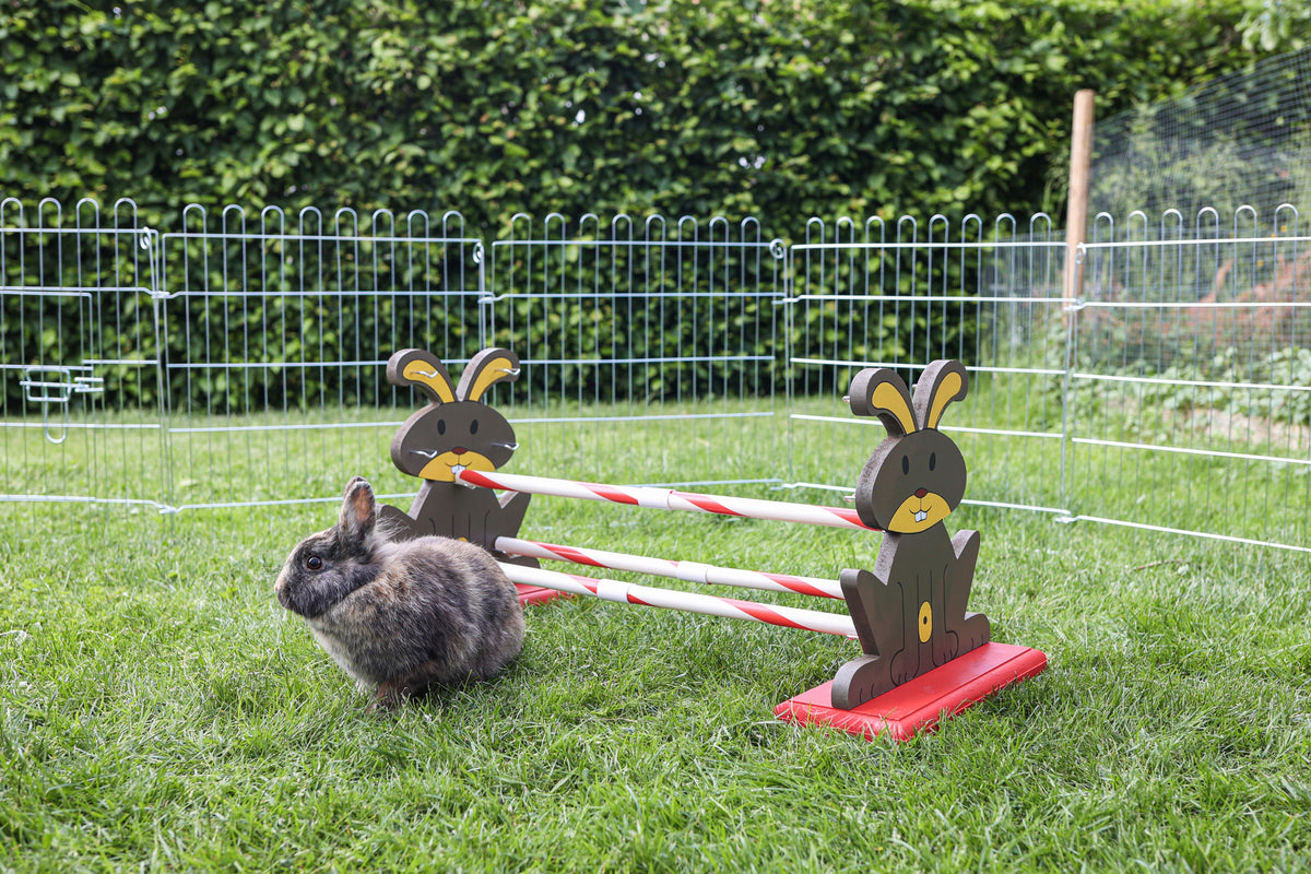 Kerbl Nagerhürde Agility