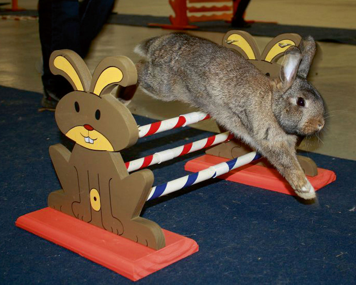 Kerbl Nagerhürde Agility