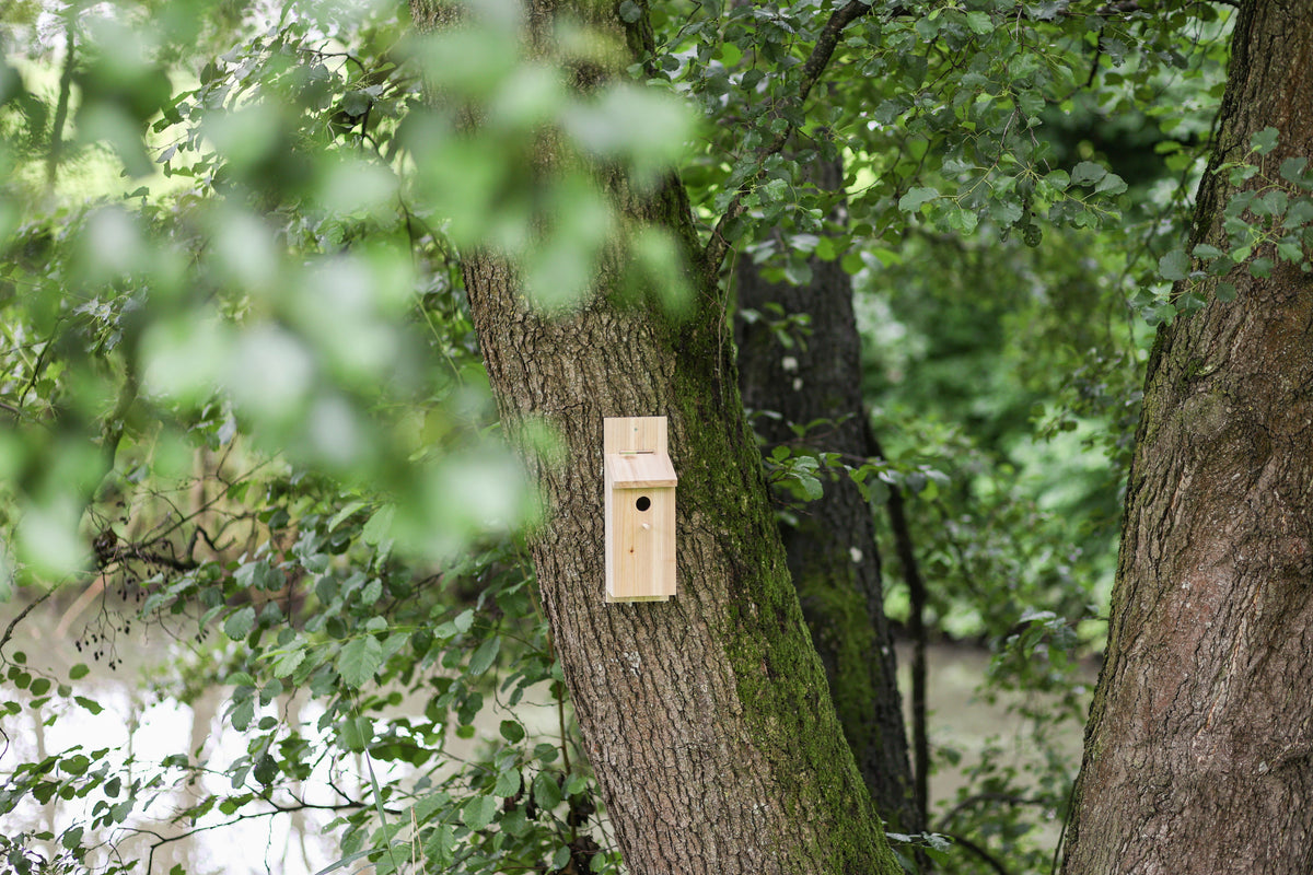 Kerbl Nistkasten Selbstbauset