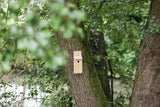 Kerbl Nistkasten Selbstbauset