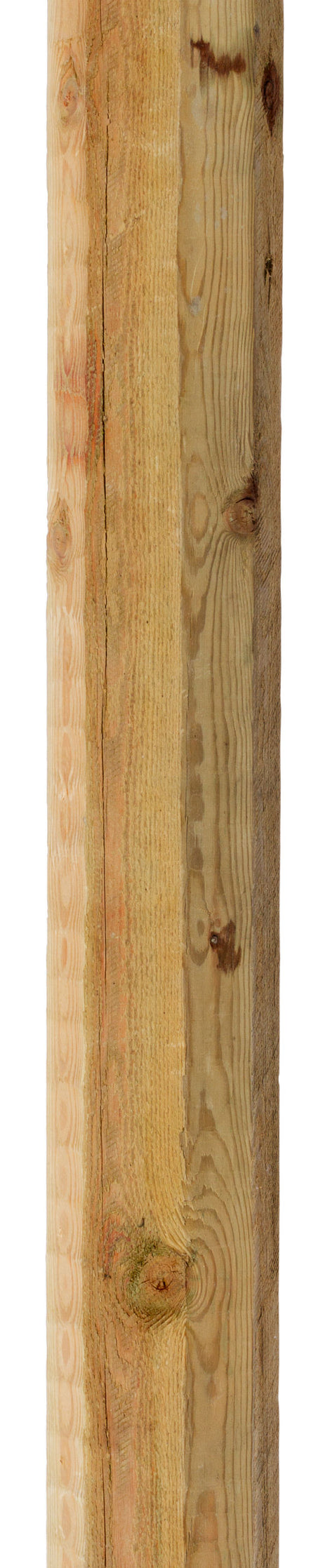 Kerbl OctoWood