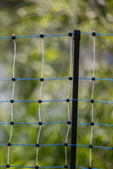 Kerbl Otter- und Waschbärnetz