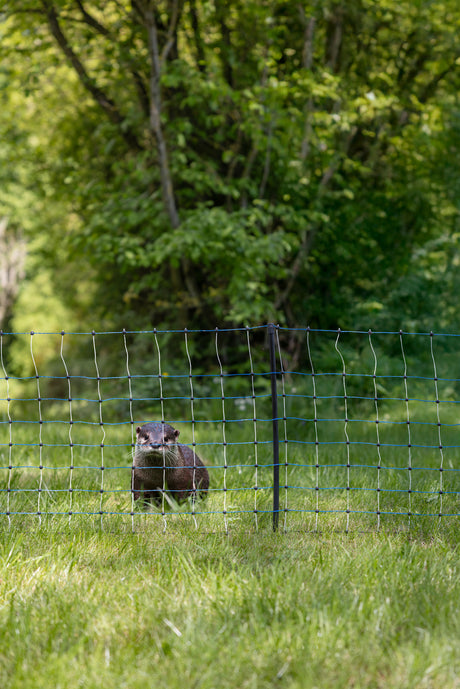 Kerbl Otter- und Waschbärnetz
