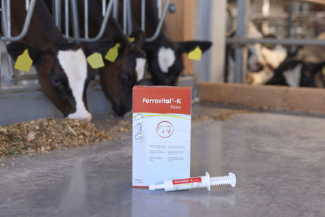 Kerbl Paste Ferrovital®-K