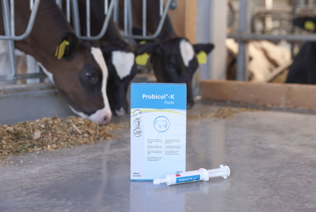 Kerbl Paste Probicol®-K
