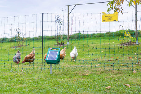 Kerbl PoultryNet All-In-One Kit Solar