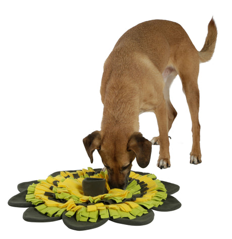 Kerbl Schnüffelteppich Sunflower