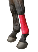 Kerbl Selbsthaftende Bandage EquiLastic