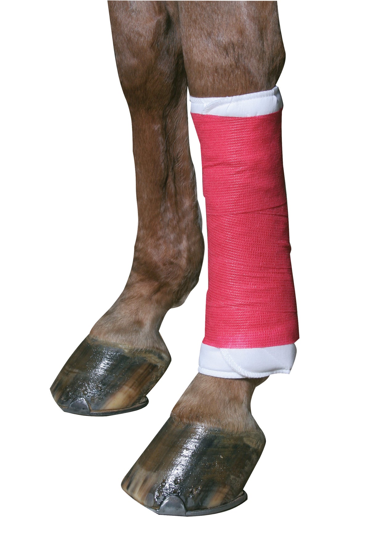 Kerbl Selbsthaftende Bandage EquiLastic