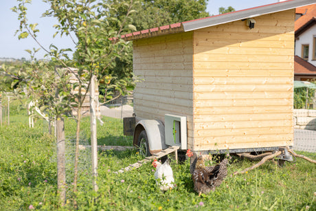 Kerbl SmartCoop Hühnertür