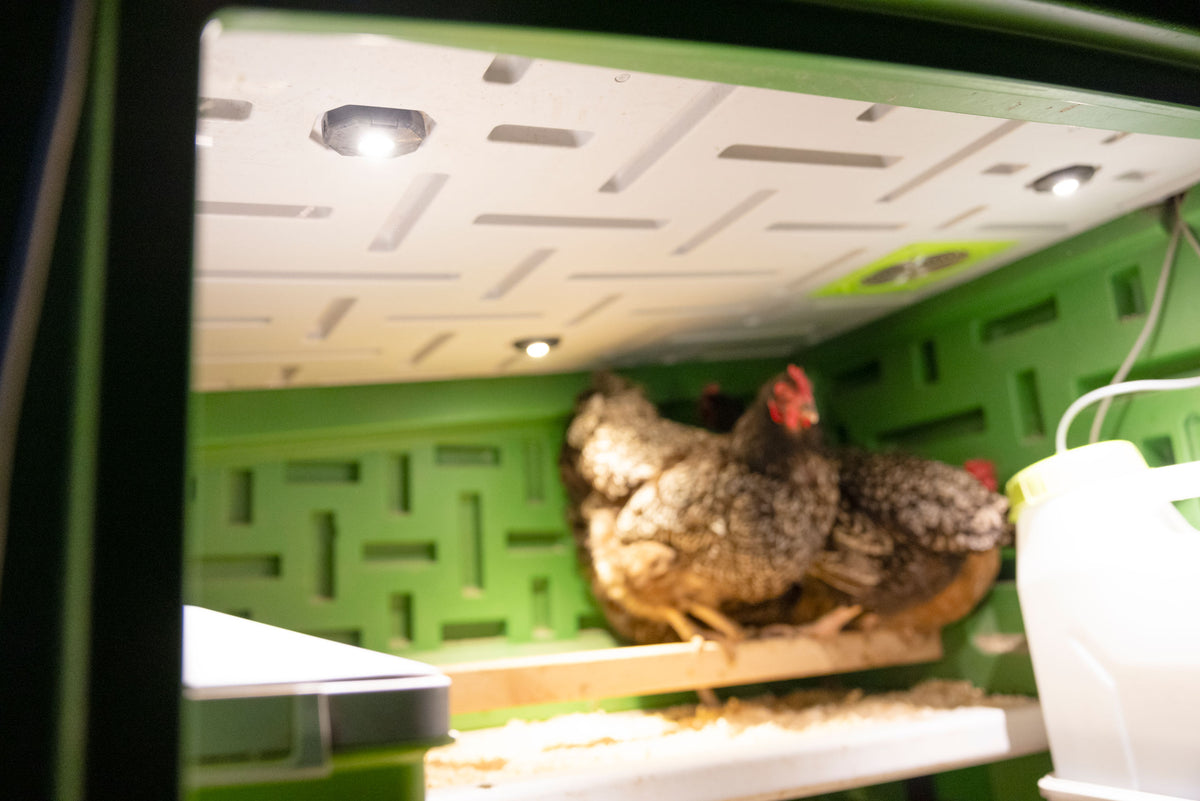 Kerbl SmartCoop LED-Stallbeleuchtung