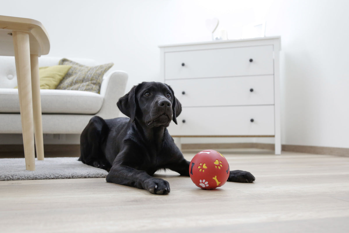 Kerbl Snackball