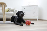 Kerbl Snackball