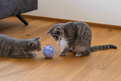 Kerbl Snackball Fisch